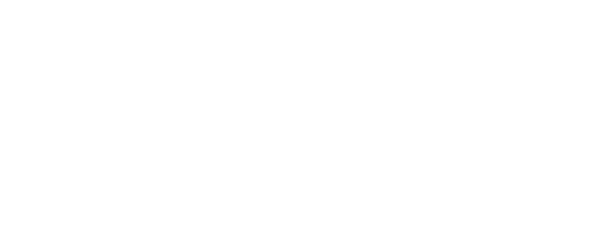 castorama logo